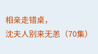 相亲走错桌，沈夫人别来无恙（70集）