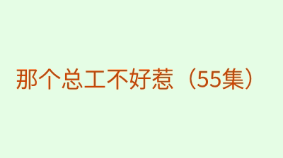 那个总工不好惹（55集）