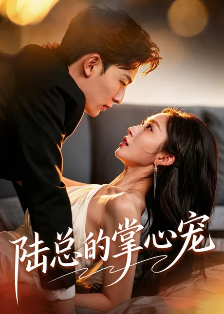 陆总的掌心宠（85集）宋佳音＆朱永强