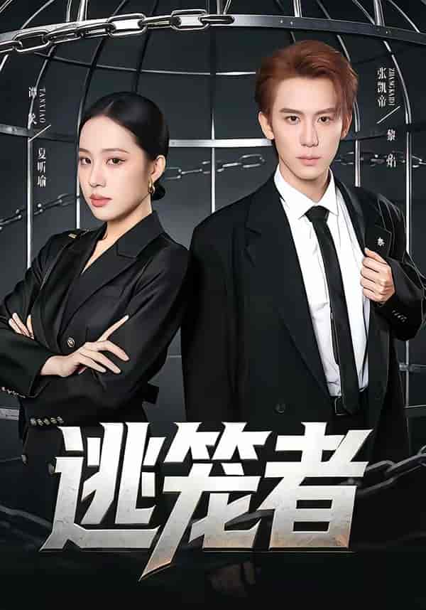 逃笼者（71集）张凯帝＆谭笑下载