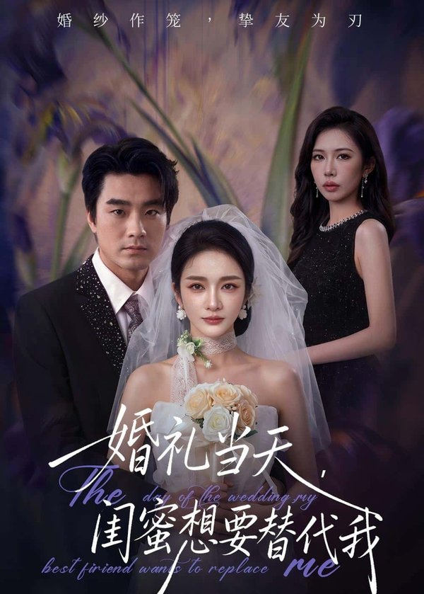 婚礼当天，闺蜜想要替代我（66集）王小橙＆穆豪下载