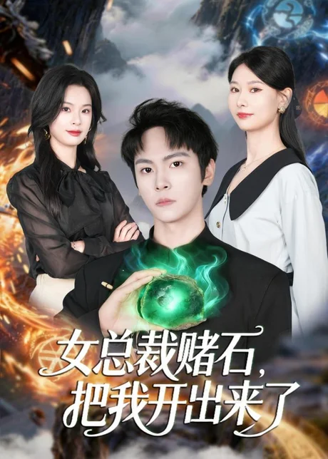 女总裁赌石，把我开出来了（76集）李硕＆杨静怡下载