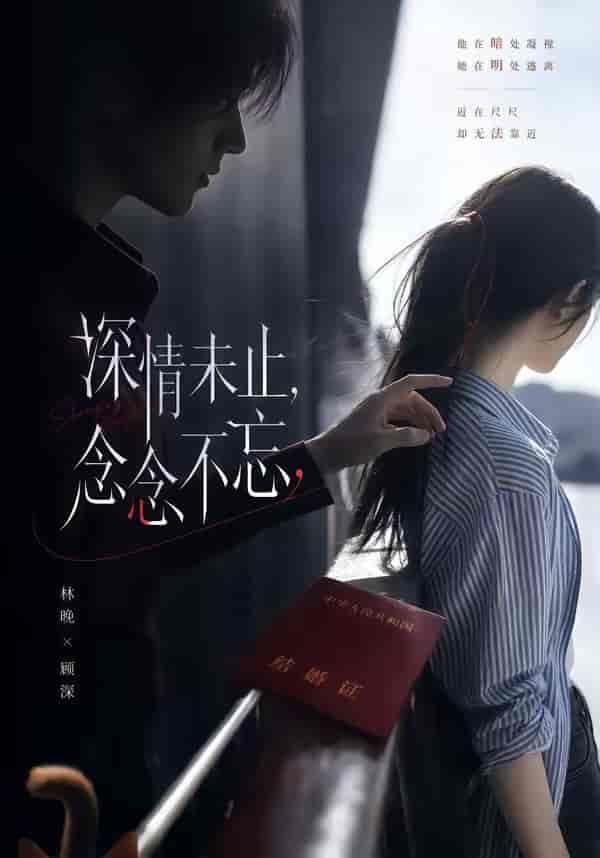 深情未止，念念不忘（83集）下载