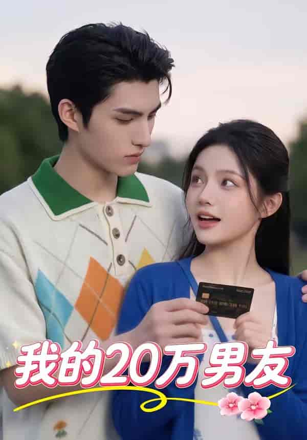 我的20万男友（30集）下载