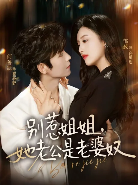 别惹姐姐，她老公是老婆奴（68集）何善凯＆郁葱