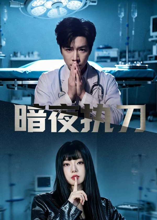 暗夜执刀(60集)邓靖泓&赵莎莎&段钰下载