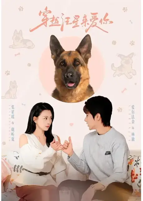 穿越汪星来爱你（62集）爱尔法金＆张星瑶