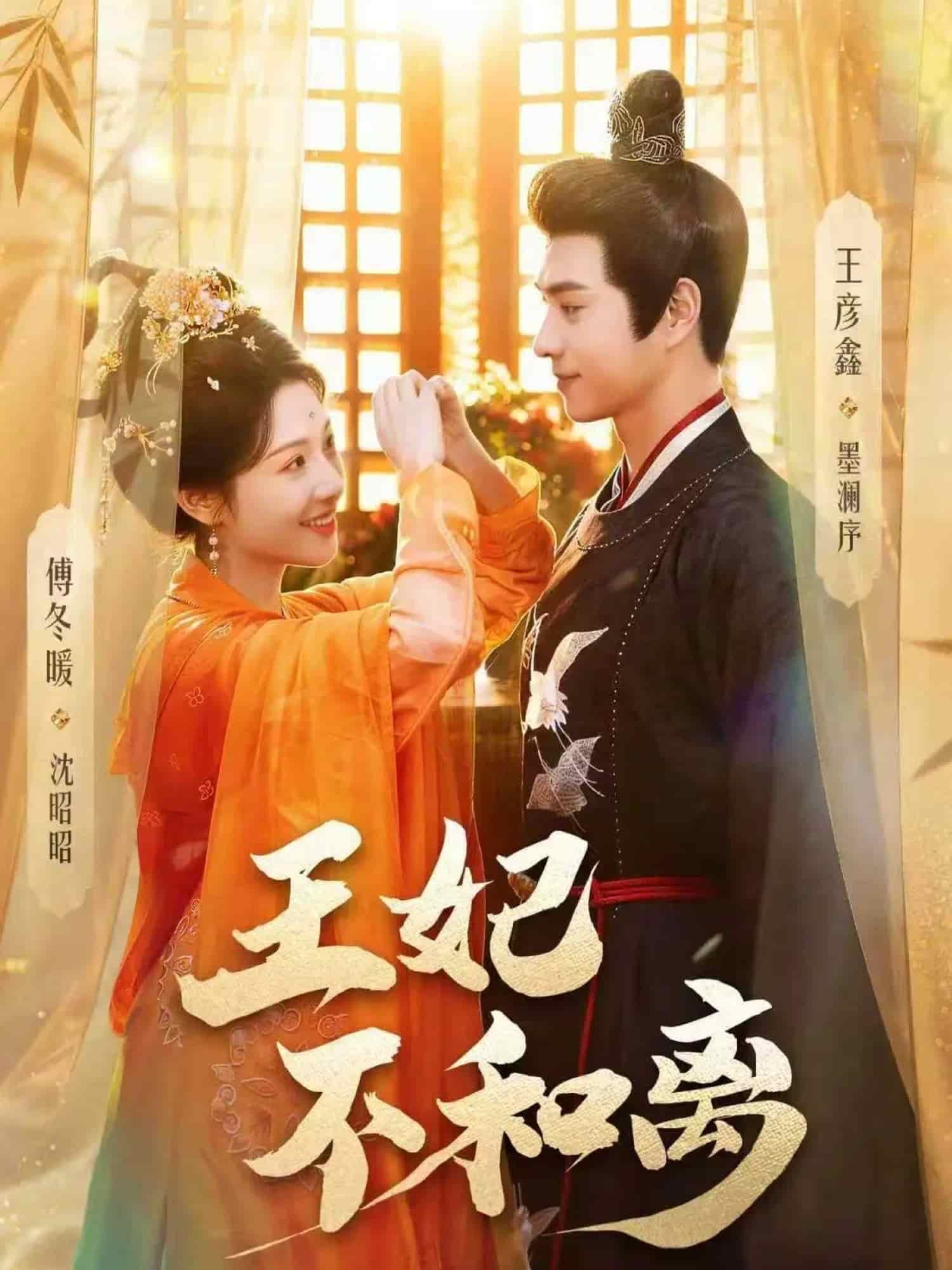 王妃不和离（80集）王彦鑫＆傅冬暖下载