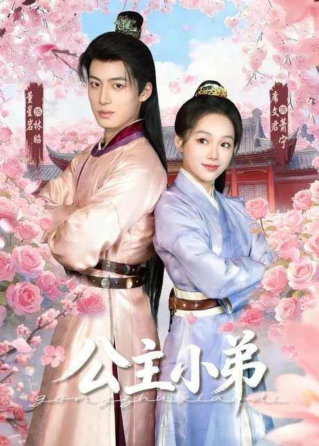 公主小弟（74集）董星岩＆席文君下载