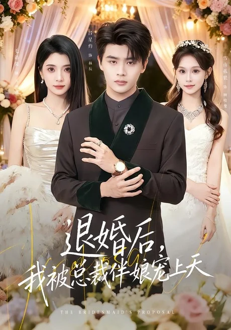 退婚后，我被总裁伴娘宠上天（60集）吕星灼＆毛婧馨 (2026)