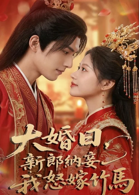 大婚日，新郎纳妾我怒嫁竹马（70集）AI短剧 (2026)