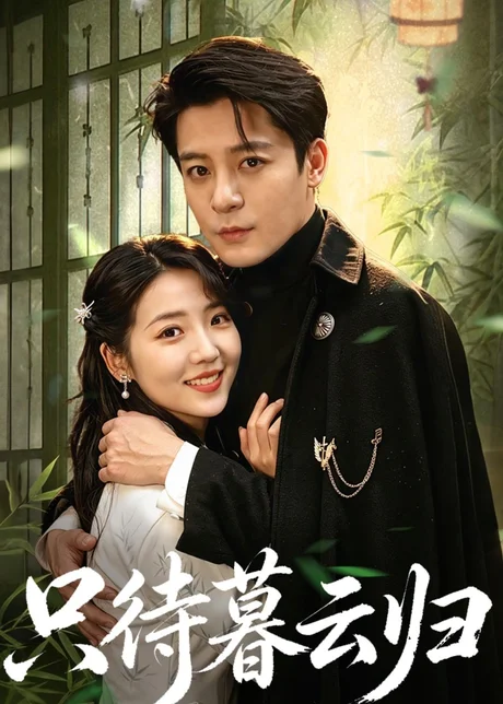 只待暮云归（70集）李海蒂＆丁敬一 (2026)