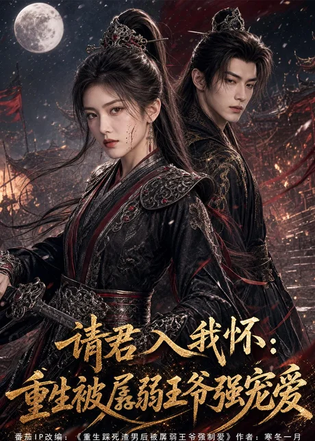 请君入我怀:重生被孱弱王爷强宠爱(70集)AI短剧 (2026) 请君入我怀:重生被孱弱王爷强宠爱(70集)AI短剧 (2026)