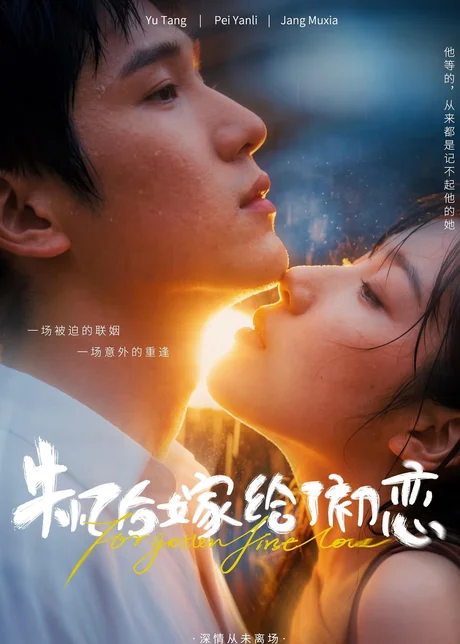 失忆后嫁给了初恋（10集）AI短剧 (2026)