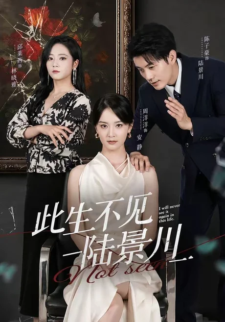 此生不见陆景川(66集)陈子豪&周洋洋 (2026) 此生不见陆景川(66集)陈子豪&周洋洋 (2026)