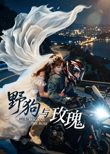 野狗与玫瑰（30集）AI短剧 (2026)