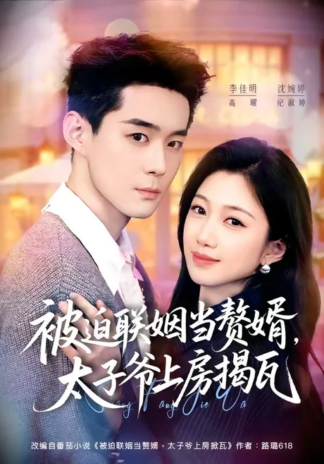 被迫联姻当赘婿,太子爷上房揭瓦(80集)沈婉婷&李佳明 (2026) 被迫联姻当赘婿,太子爷上房揭瓦(80集)沈婉婷&李佳明 (2026)