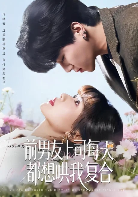 前男友上司每天都想哄我复合（77集）翟昭荣＆衡涛 (2026)