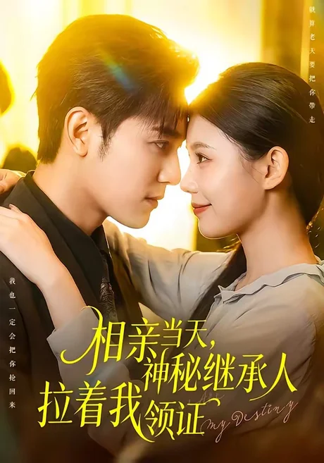 相亲当天，神秘继承人拉着我领证（100集）周航＆李丫丫 (2026)