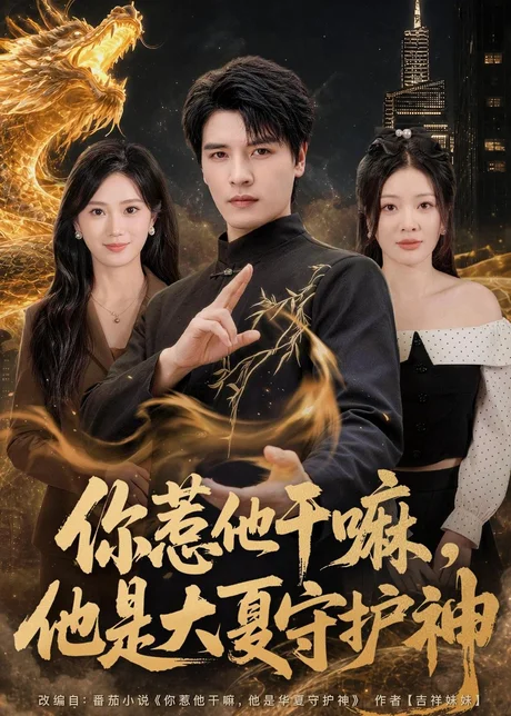 你惹他干嘛，他是大夏守护神（78集）李彬航＆林初 (2026)