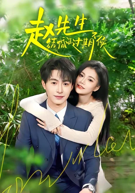 赵先生结婚证过期不候（50集）郭伊慧＆张宸硕 (2026)