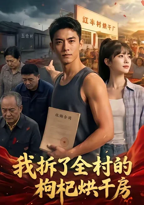 我拆了全村的枸杞烘干房（40集）AI短剧 (2026)
