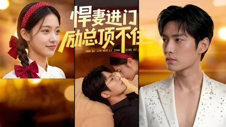 悍妻进门励总顶不住1080P（55集）企鹅独播