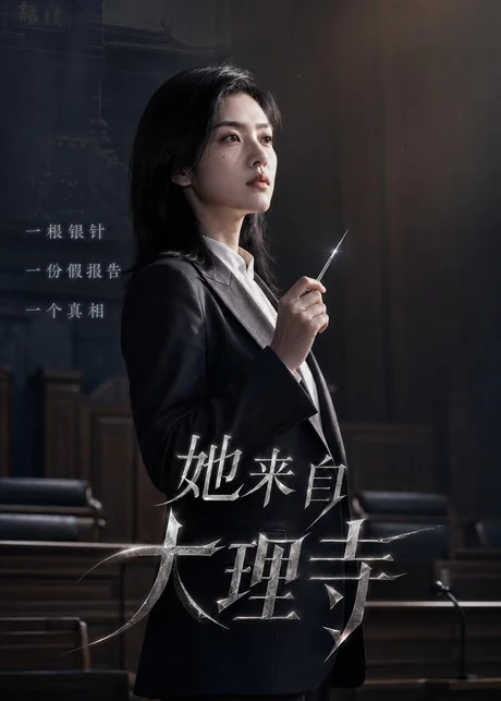 她来自大理寺（56集）AI短剧 (2026)