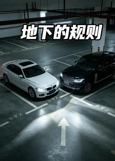 地下的规则（20集）AI短剧 (2026)