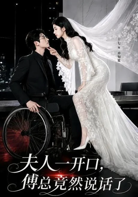 夫人一开口，傅总竟然说话了（60集）AI短剧 (2026)