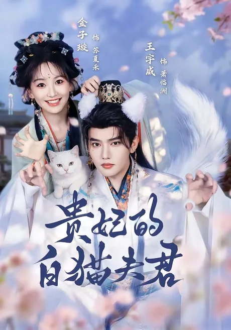 贵妃的白猫夫君(81集)王宇威&金子璇 (2026) 贵妃的白猫夫君(81集)王宇威&金子璇 (2026)