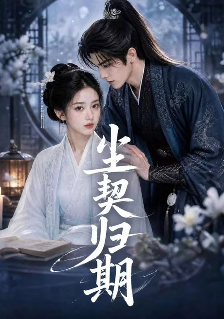 尘契归期（63集）AI短剧 (2026)