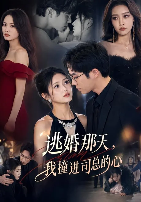 逃婚那天,我撞进司总的心(61集)余容&张予晴 (2026) 逃婚那天,我撞进司总的心(61集)余容&张予晴 (2026)