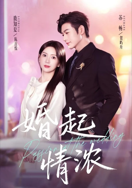 婚起情浓（99集）苏畅＆鹿知夏 (2026)