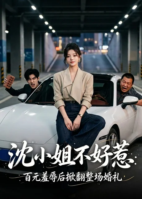 沈小姐不好惹,百元羞辱后掀翻整场婚礼(40集)AI短剧 (2026) 沈小姐不好惹,百元羞辱后掀翻整场婚礼(40集)AI短剧 (2026)