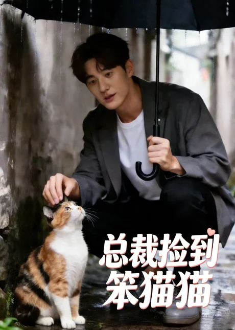 总裁捡到笨猫猫（41集）AI短剧 (2026)