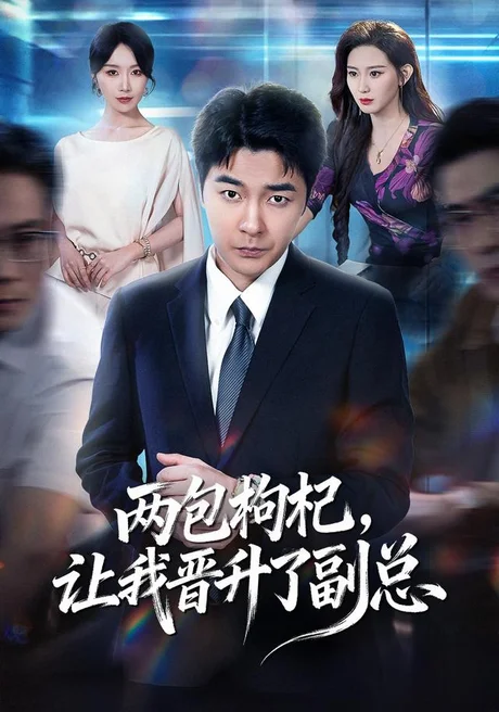 两包枸杞，让我晋升了副总（65集）董星辰＆芊亿＆孙兵＆逸枫 (2026)