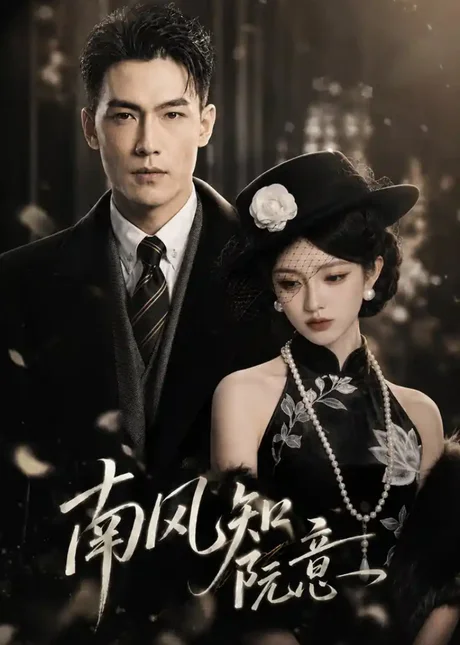 南风知阮意（66集）AI短剧 (2026)