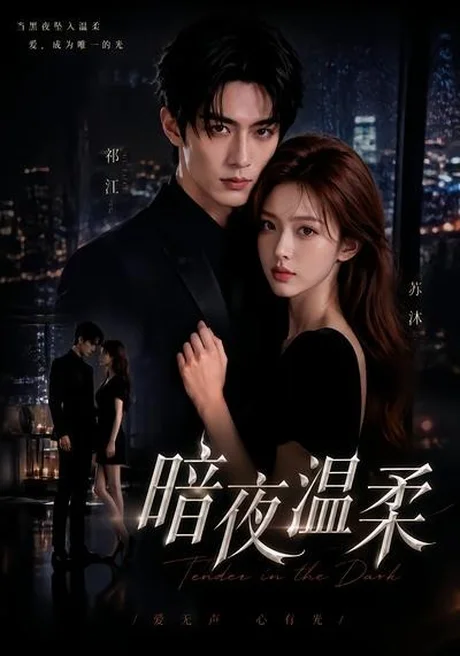 暗夜温柔（25集）AI短剧 (2026)