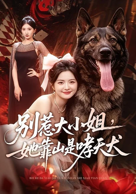 别惹大小姐,她靠山是哮天犬(86集)常珂欣&刘继泽 (2026) 别惹大小姐,她靠山是哮天犬(86集)常珂欣&刘继泽 (2026)