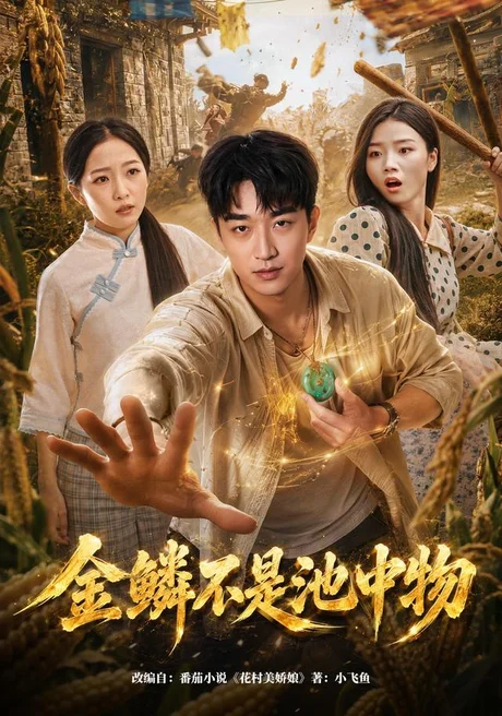 金鳞不是池中物（80集）王必可&许幻幻 (2026)
