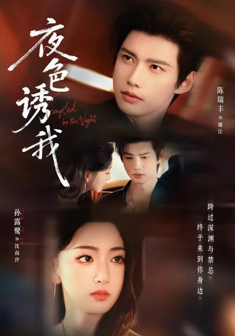 夜色诱我(78集) 陈瑞丰&孙露鹭 (2026) 夜色诱我(78集) 陈瑞丰&孙露鹭 (2026)
