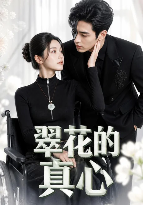 翠花的真心(41集)AI短剧 (2026) 翠花的真心(41集)AI短剧 (2026)