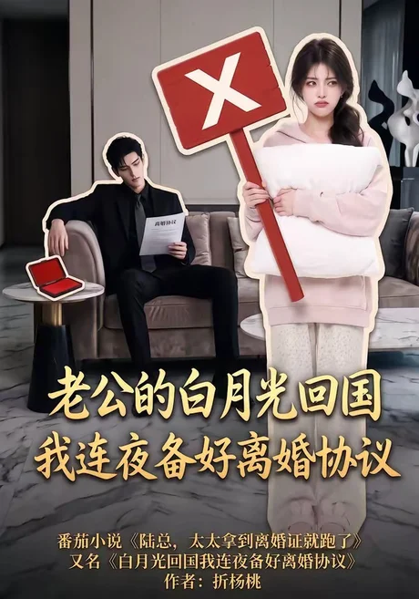 老公的白月光回国我连夜备好离婚协议(100集)AI短剧 (2026) 老公的白月光回国我连夜备好离婚协议(100集)AI短剧 (2026)