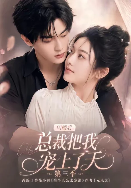 闪婚后，总裁把我宠上了天第三季（107集）AI短剧 (2026)