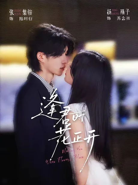 逢君时花正开(72集)张集骏&杨殊予(1080P) (2026) 逢君时花正开(72集)张集骏&杨殊予(1080P) (2026)