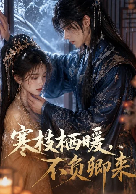 寒枝栖暖,不负卿来(50集)AI短剧 (2026) 寒枝栖暖,不负卿来(50集)AI短剧 (2026)
