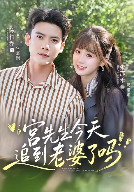 宫先生今天追到老婆了吗（73集）陈刚＆张邵禾（1080P） (2026)