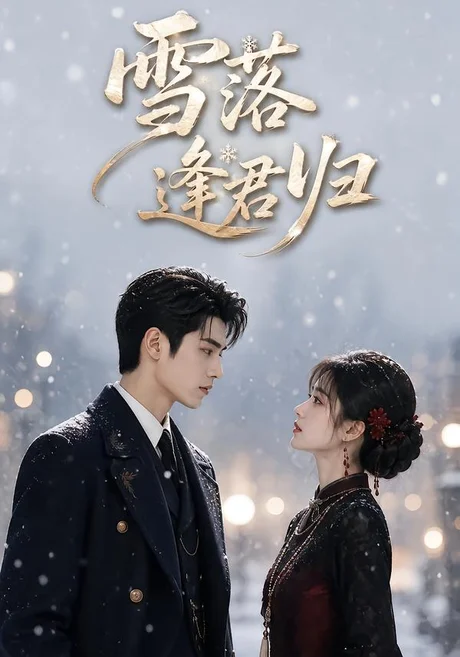 雪落逢君归(116集)AI短剧 (2026) 雪落逢君归(116集)AI短剧 (2026)