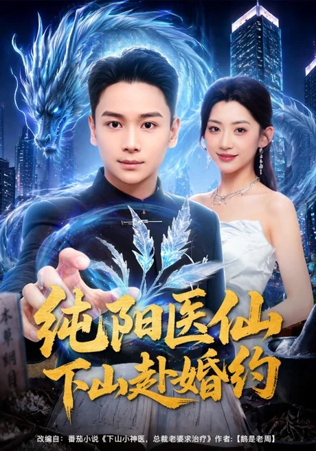 纯阳医仙下山赴婚约(80集)范高坡&王冰星 (2026) 纯阳医仙下山赴婚约(80集)范高坡&王冰星 (2026)